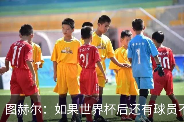 图赫尔：如果世界杯后还有球员不愿意加入英格兰，我会感到惊讶